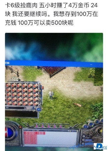 121E27C1-9F1B-46E0-BD1A-DA2CF19783DD.jpeg