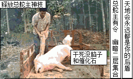46DED58C-359F-4270-9C52-850C64EEF644.gif