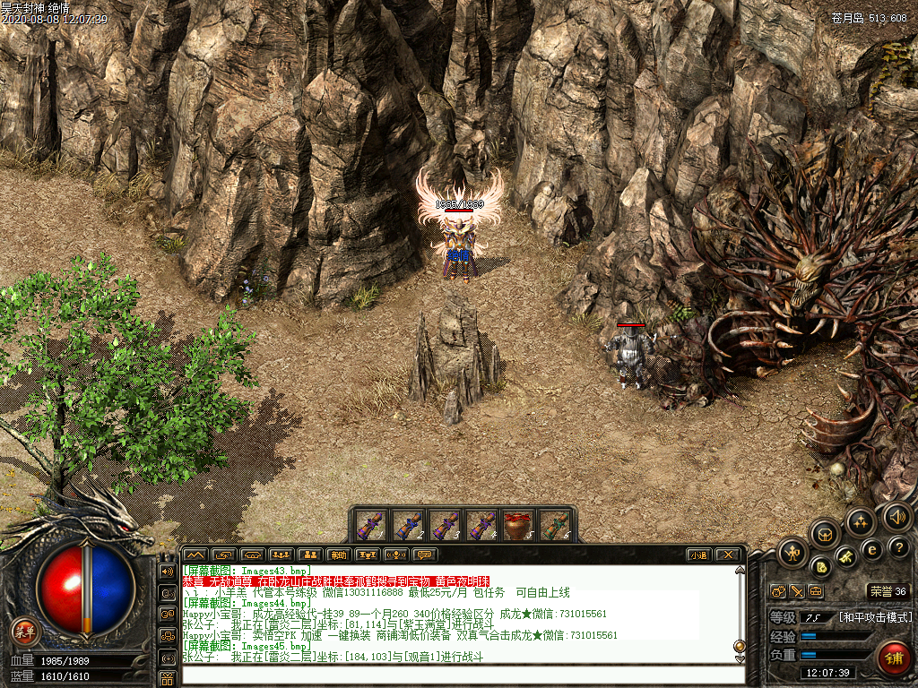 Images46.bmp