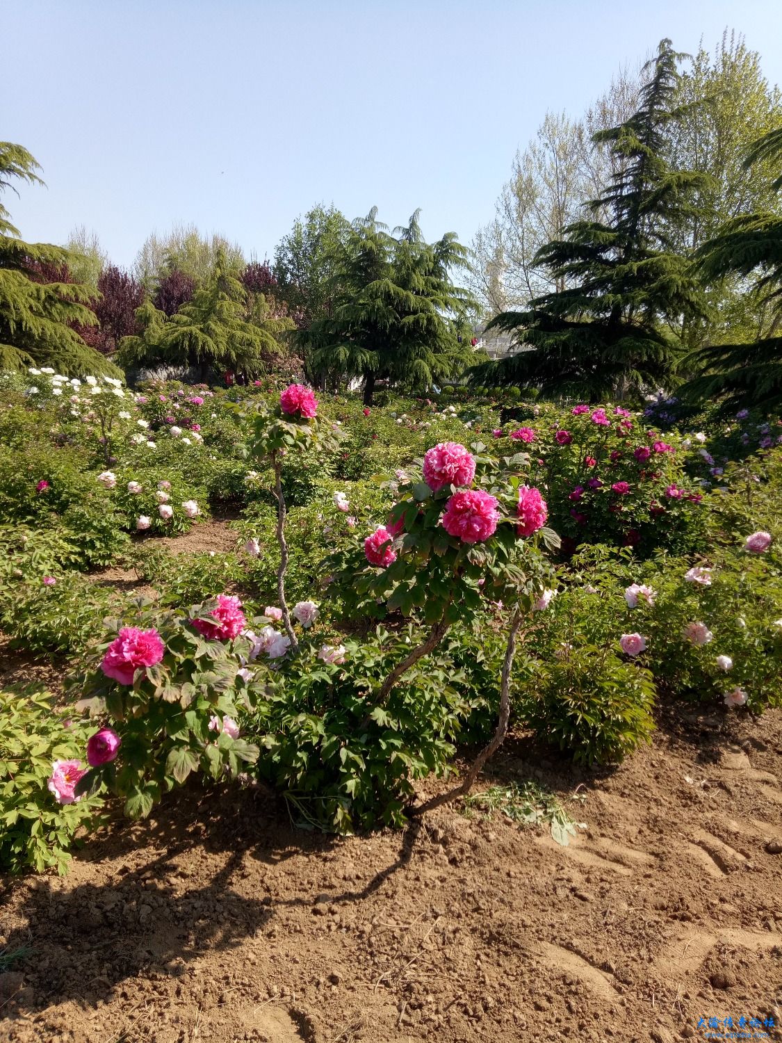 IMG20210418093714.jpg