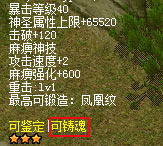 pp2.png