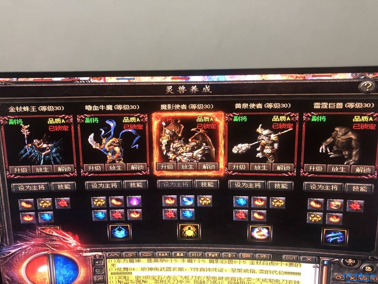 副将战士