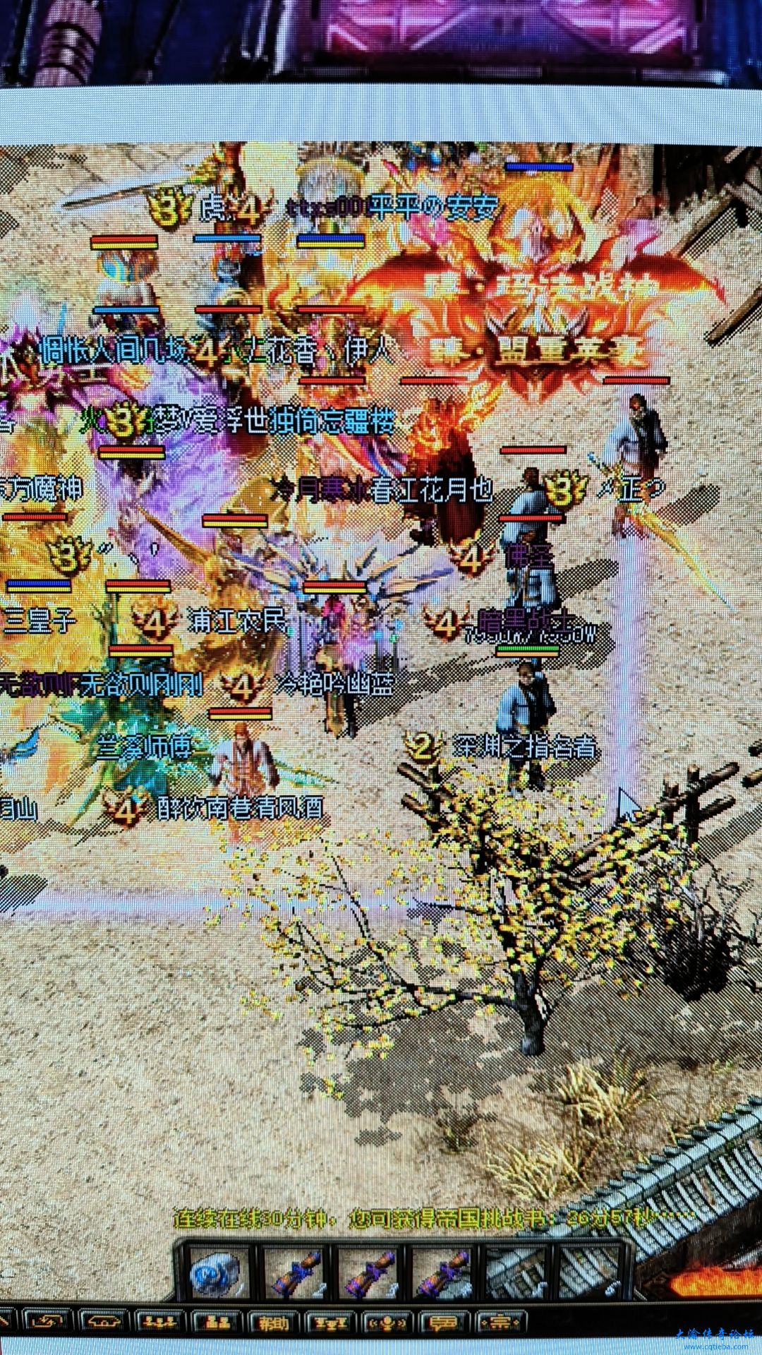 1000000929.jpg
