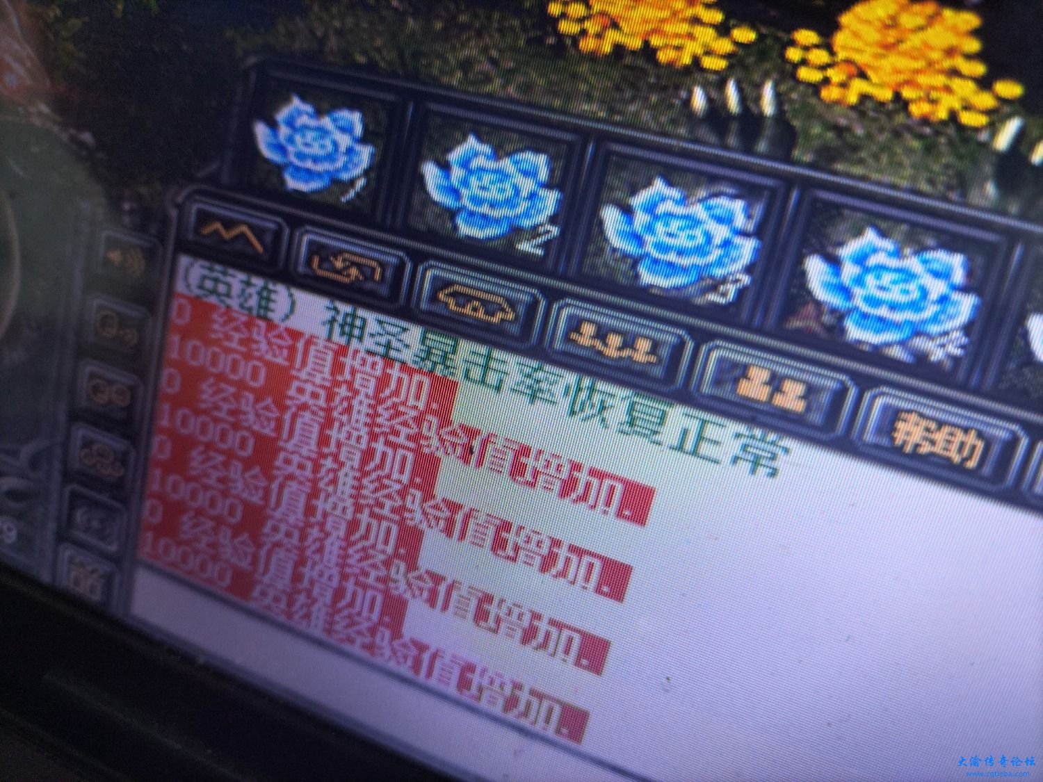 IMG20240805103709.jpg