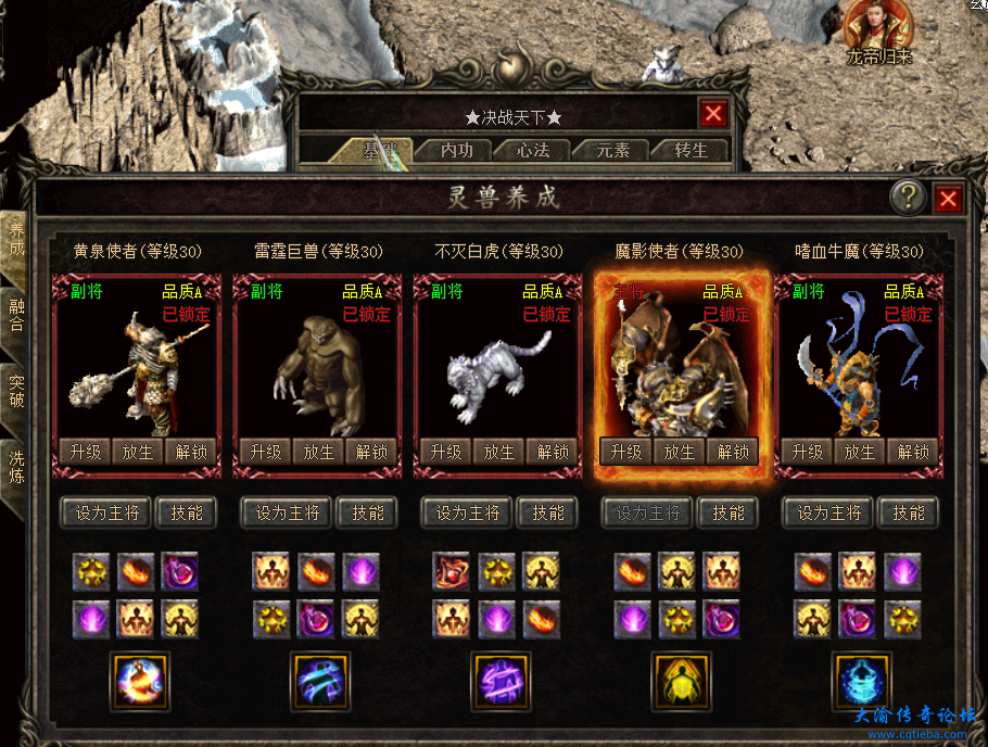 主号灵兽